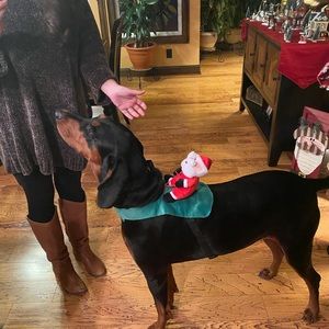 Meet your Posher, Deborah